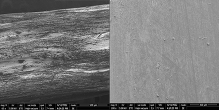 Scanning Electron Microscope images of biodegradabe tough hydrogels