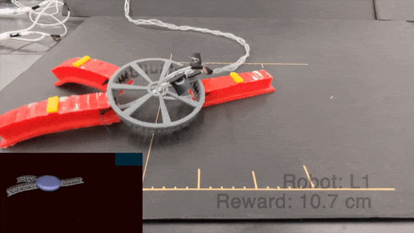 Simulated and real crawling soft robot